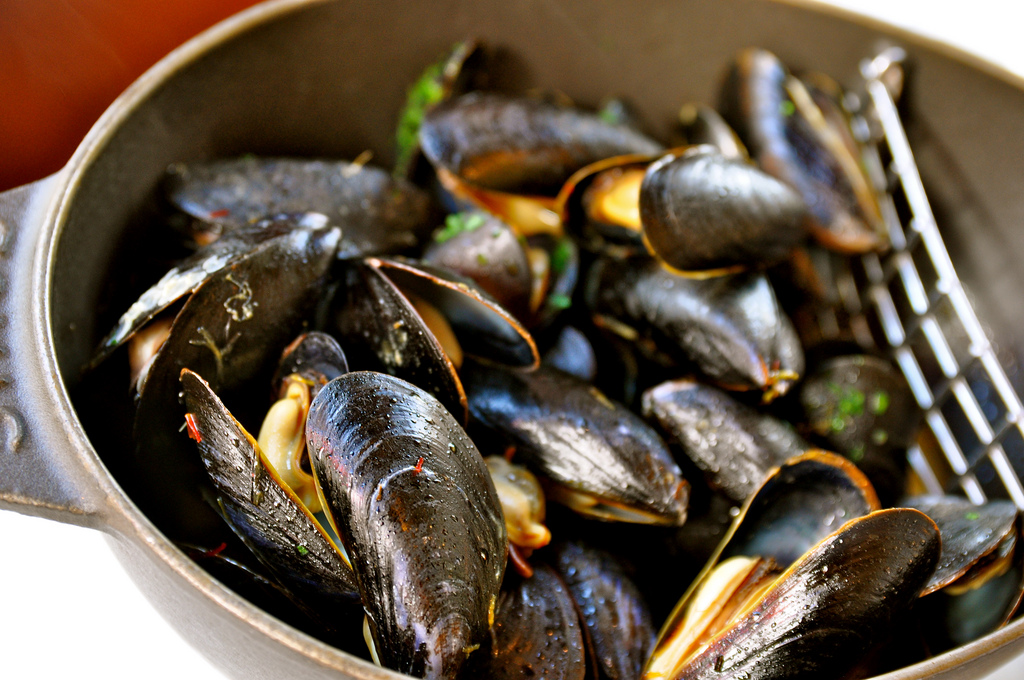 Steamed Mussels with Fennel, White Wine and Tarragon