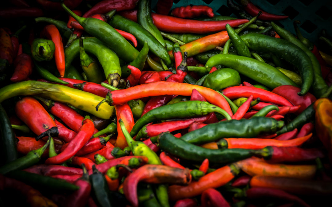 You can Freeze Jalapeno Peppers, Oh yes it’s true!